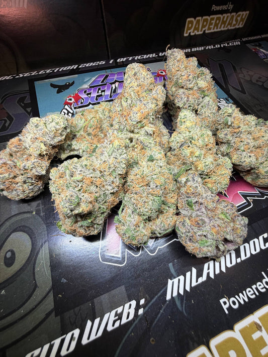 Cali By Doc grow ITA - SUPERBOOF X ZOZ